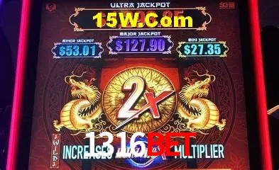 1316Bet - User Statistics